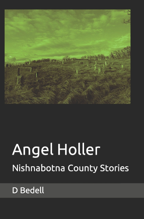 Kniha Angel Holler D Bedell