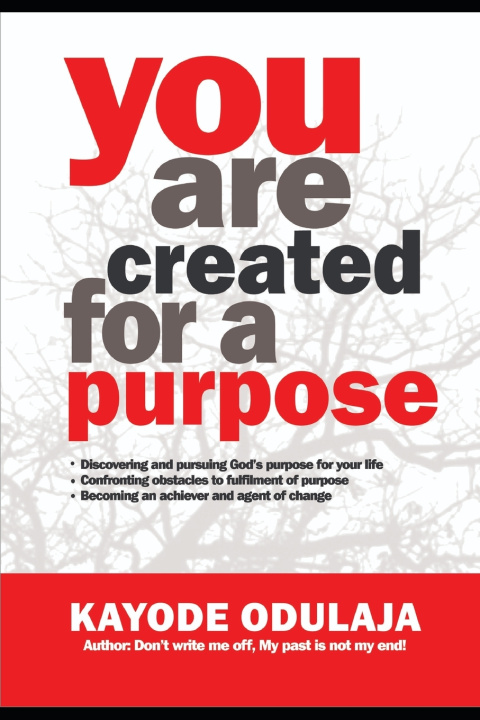 Kniha YOU ARE CREATED FOR A PURPOSE BUNMI ODULAJA