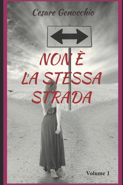 Kniha NON È LA STESSA STRADA CESARE GENOCCHIO