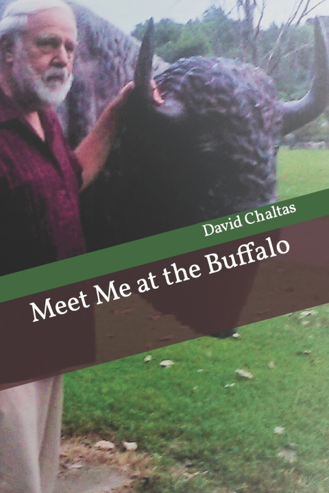 Книга Meet Me at the Buffalo David Chaltas