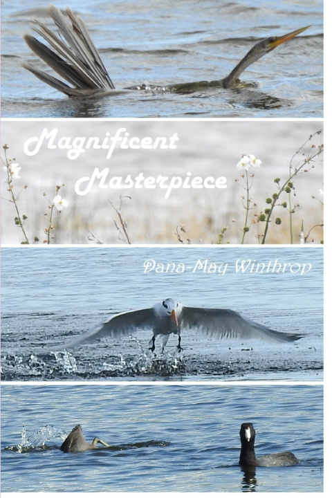 Книга Magnificent Masterpiece Dana-May Winthrop