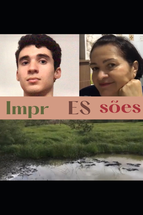 Knjiga Impressões Fabio Antonio
