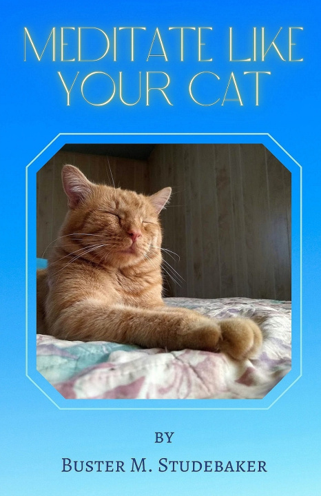 Книга Meditate Like Your Cat Buster M. Studebaker