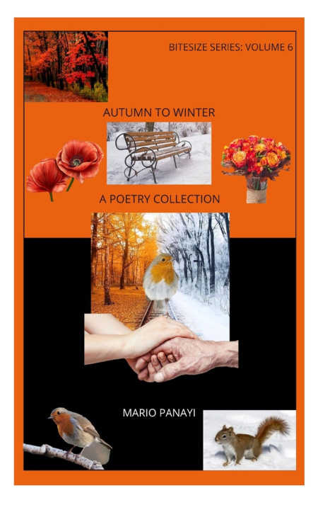 Книга Autumn to Winter Mario Panayi