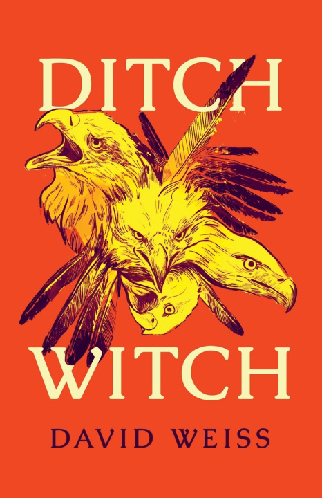 Buch Ditch Witch David Weiss