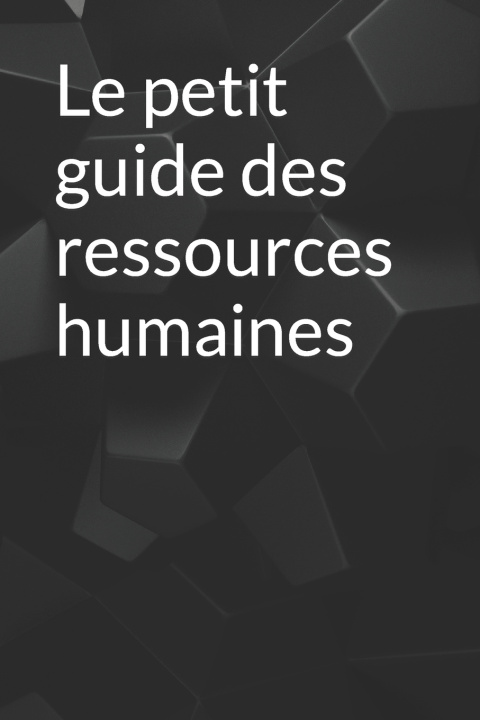 Książka Le petit guide des ressources humaines Centre AUDEO