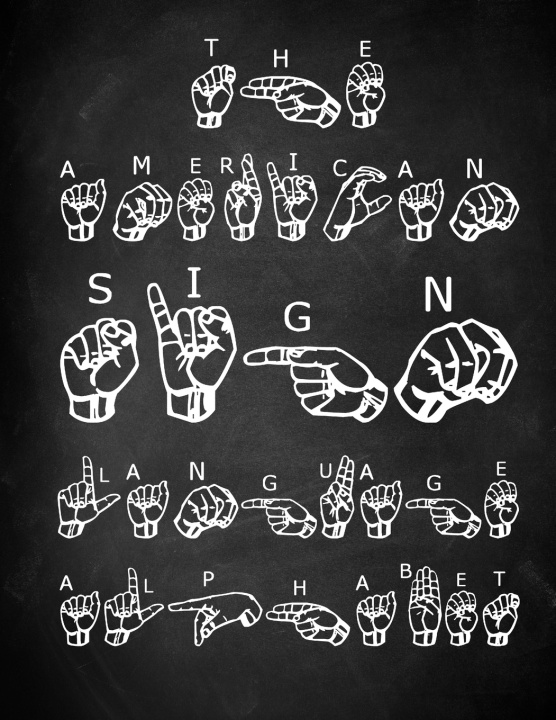 Книга ASL American Sign Language Mihaela Dovan