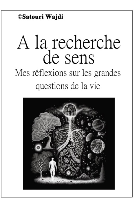Книга A la recherche de sens Wajdi Satouri