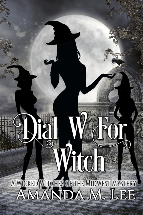 Kniha Dial W For Witch Amanda M. Lee
