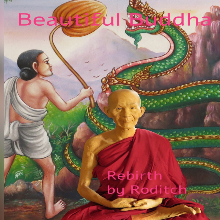 Kniha Beautiful Buddha Roditch .