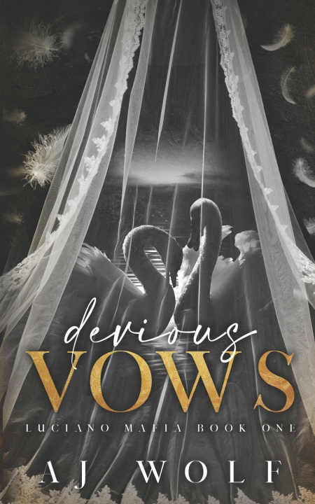 Kniha Devious Vows AJ Wolf