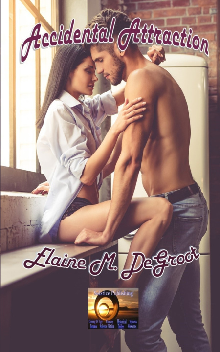 Knjiga Accidental Attraction Elaine M. DeGroot