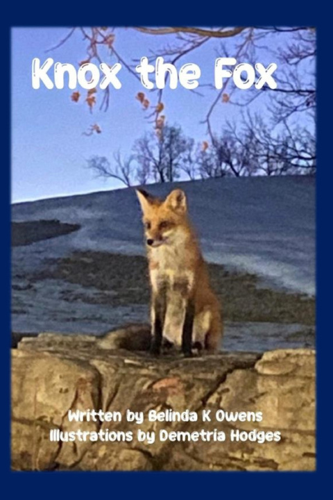 Kniha Knox the Fox Belinda K Owens