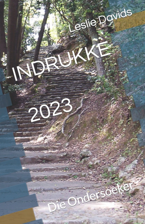 Book INDRUKKE Leslie davids