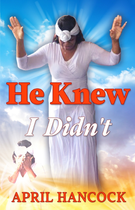 Книга He Knew I Didn't April Hancock