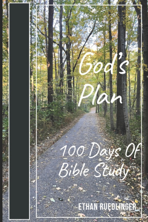 Knjiga God's Plan Connie Ruedlinger