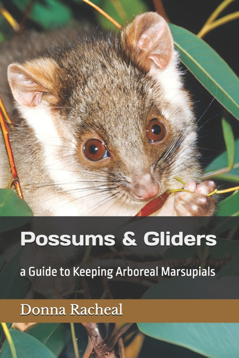Kniha Possums & Gliders Donna Racheal
