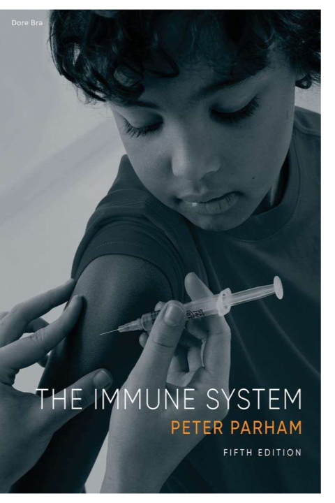 Kniha The Immune System Dore Bra