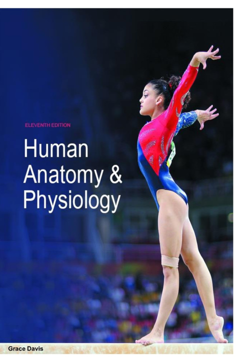 Book Human Anatomy & Physiology grace davis