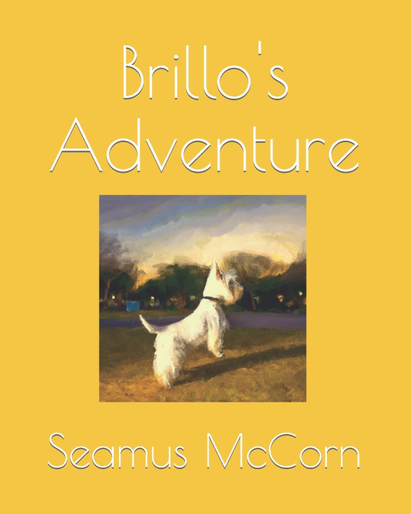 Kniha Brillo's Adventure Seamus McCorn