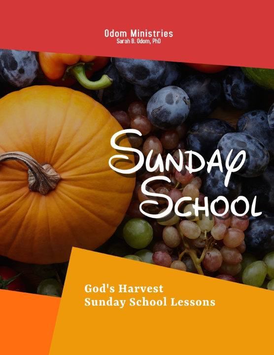 Knjiga Sunday School Sarah B. Odom PhD