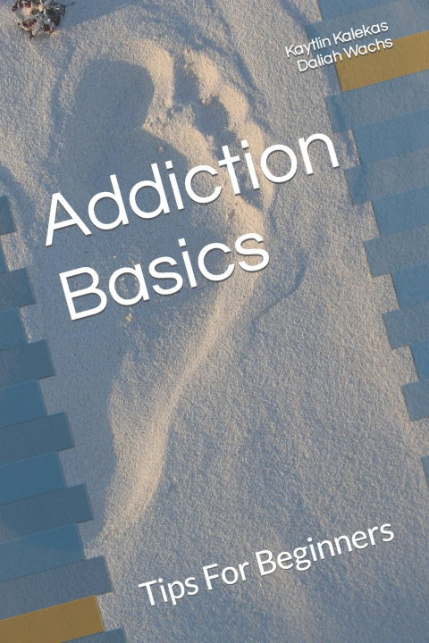 Knjiga Addiction Basics Daliah Wachs