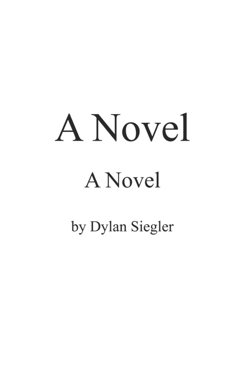 Kniha A Novel Dylan Siegler