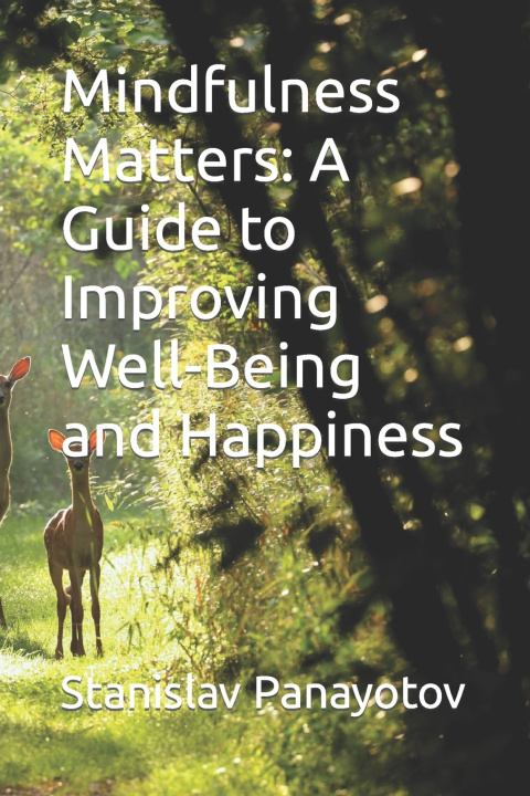 Kniha Mindfulness Matters Stanislav Panayotov
