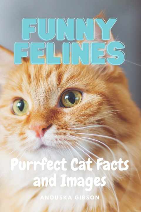 Книга Funny Felines Anouska Gibson