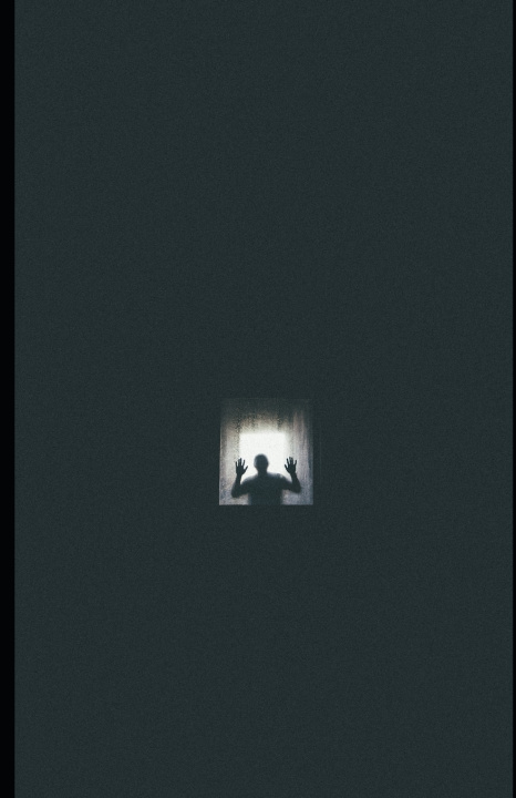 Kniha Have You Ever Felt Trapped? Aida Mandić