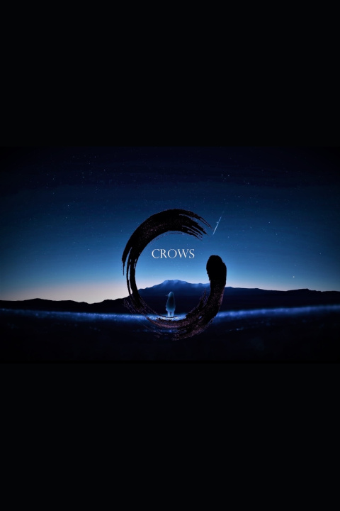 Knjiga Crows Raymond Allan Nordgren