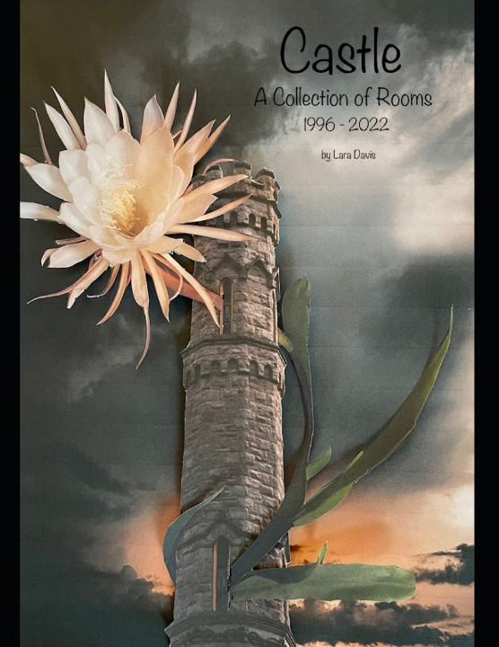 Book Castle Lara Lee Davis