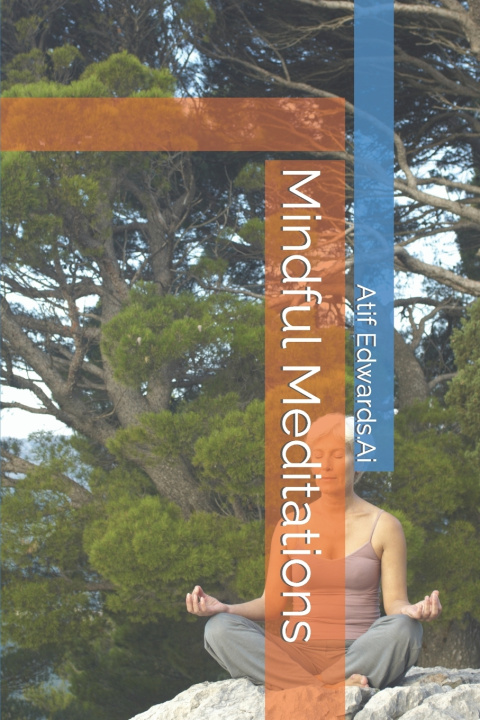 Kniha Mindful Meditations Jeffrey J Edwards