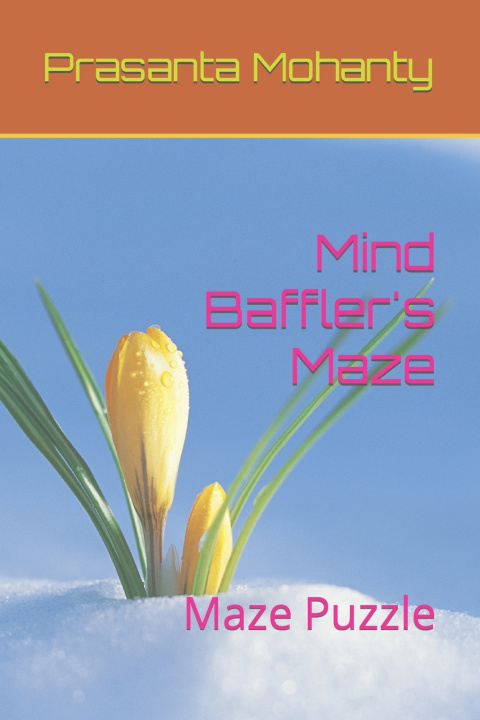 Book Mind Baffler's Maze Prasanta Mohanty