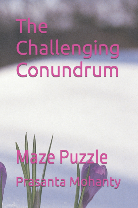 Kniha The Challenging Conundrum Prasanta Mohanty
