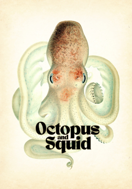 Kniha Octopus & Squid kent smith