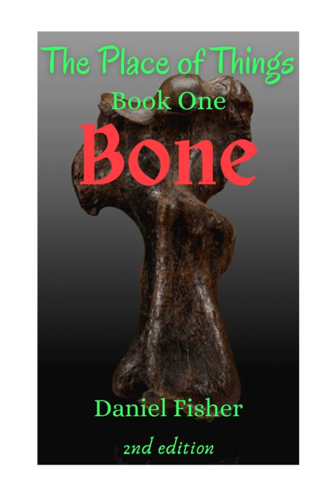 Kniha Bone Daniel Fisher