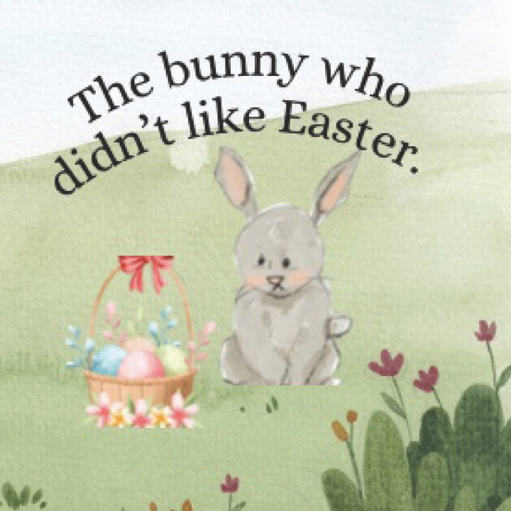 Книга The bunny who didn't like Easter. Kate Finn