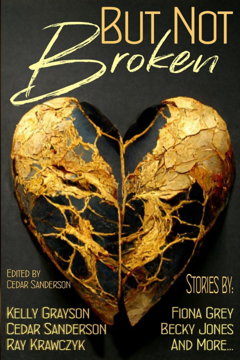 Book But Not Broken Kelly Grayson