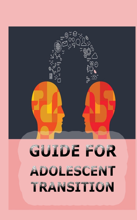 Книга GUIDE FOR ADOLESCENT TRANSITION Smith Palma