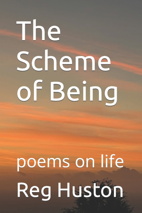 Książka The Scheme of Being Reg Huston