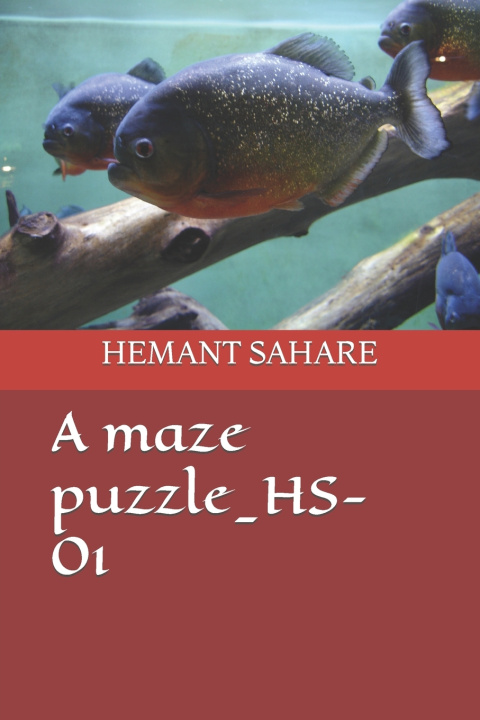 Knjiga A maze puzzle_HS-01 HEMANT M. SAHARE