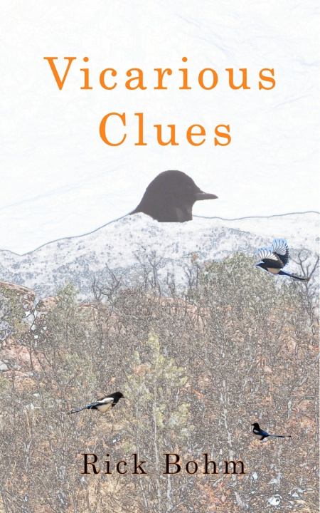Kniha Vicarious Clues Rick Bohm
