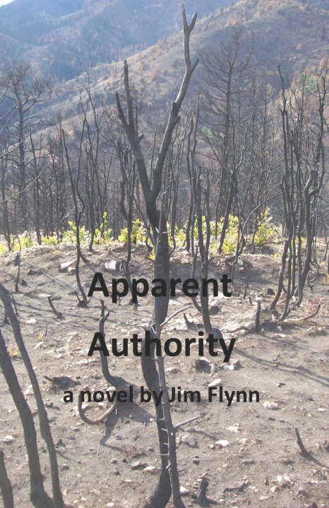 Book Apparent Authority Jim Flynn