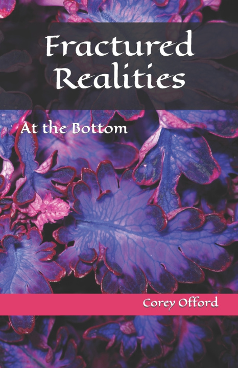 Kniha Fractured Realities Corey Offord