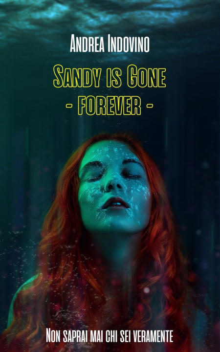 Knjiga Sandy Is Gone - Forever - Andrea Indovino