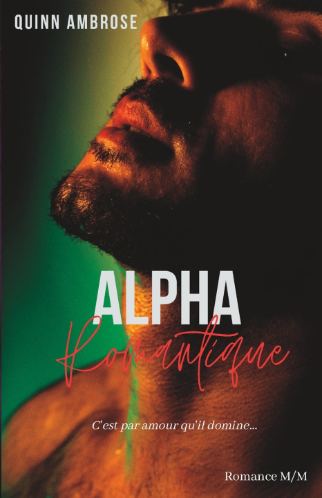 Kniha Alpha Romantique Quinn Ambrose
