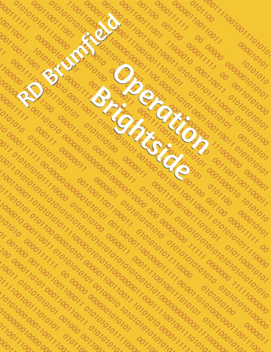 Kniha Operation Brightside RD Brumfield