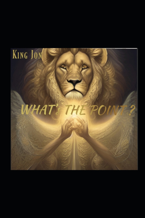 Knjiga What's The Point? Jonathan Harris