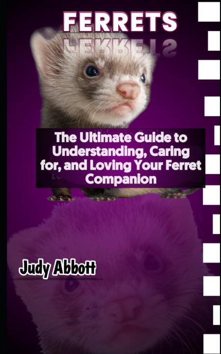 Kniha Ferrets Judy Abbott